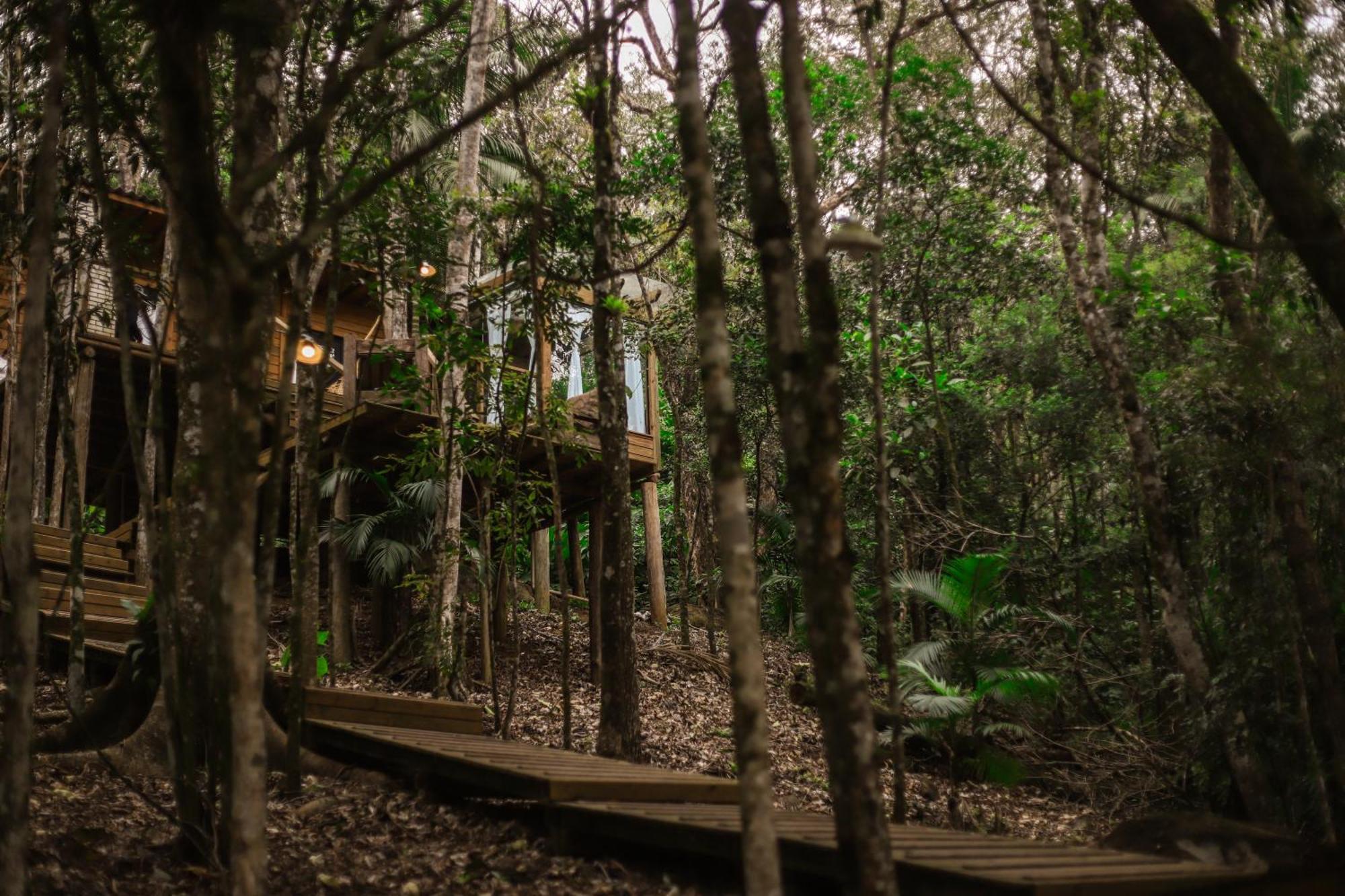 Chale Da Arvore, Vivenda Serra Velha, Chales De Montanha Timbe do Sul Экстерьер фото